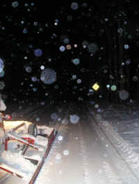 Houghton_Lake_Trail_Dec300905.JPG (166862 bytes)