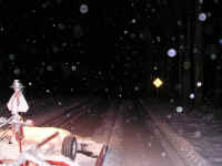 Houghton_Lake_Trail_Dec300906.JPG (175965 bytes)