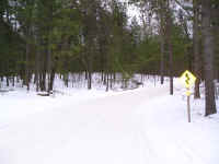 P1010094.JPG (171464 bytes)