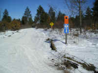 P1010100.JPG (163779 bytes)