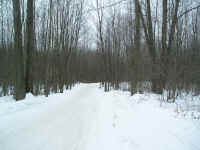 P1010108.JPG (184793 bytes)