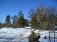 P1010109.JPG (187677 bytes)