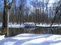 P1010120.JPG (163667 bytes)