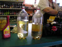 P1010121.JPG (157742 bytes)